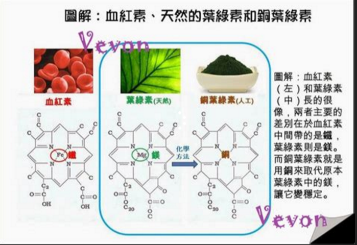 人类的血红蛋白hemoglobin 和植物的叶绿素chlorophyll和铜叶绿素